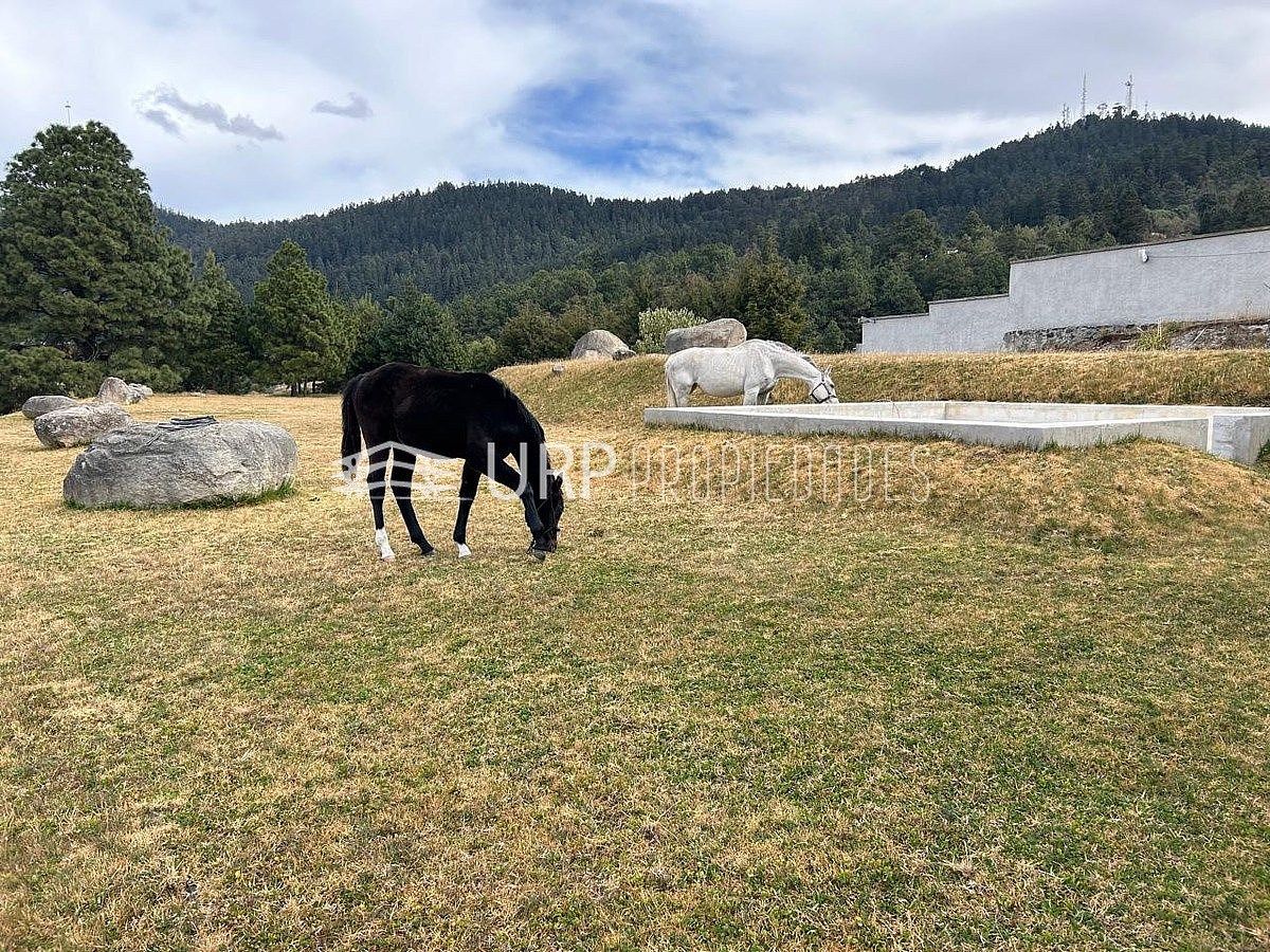 Rancho en Salazar, Lerma, foto 13 de 16