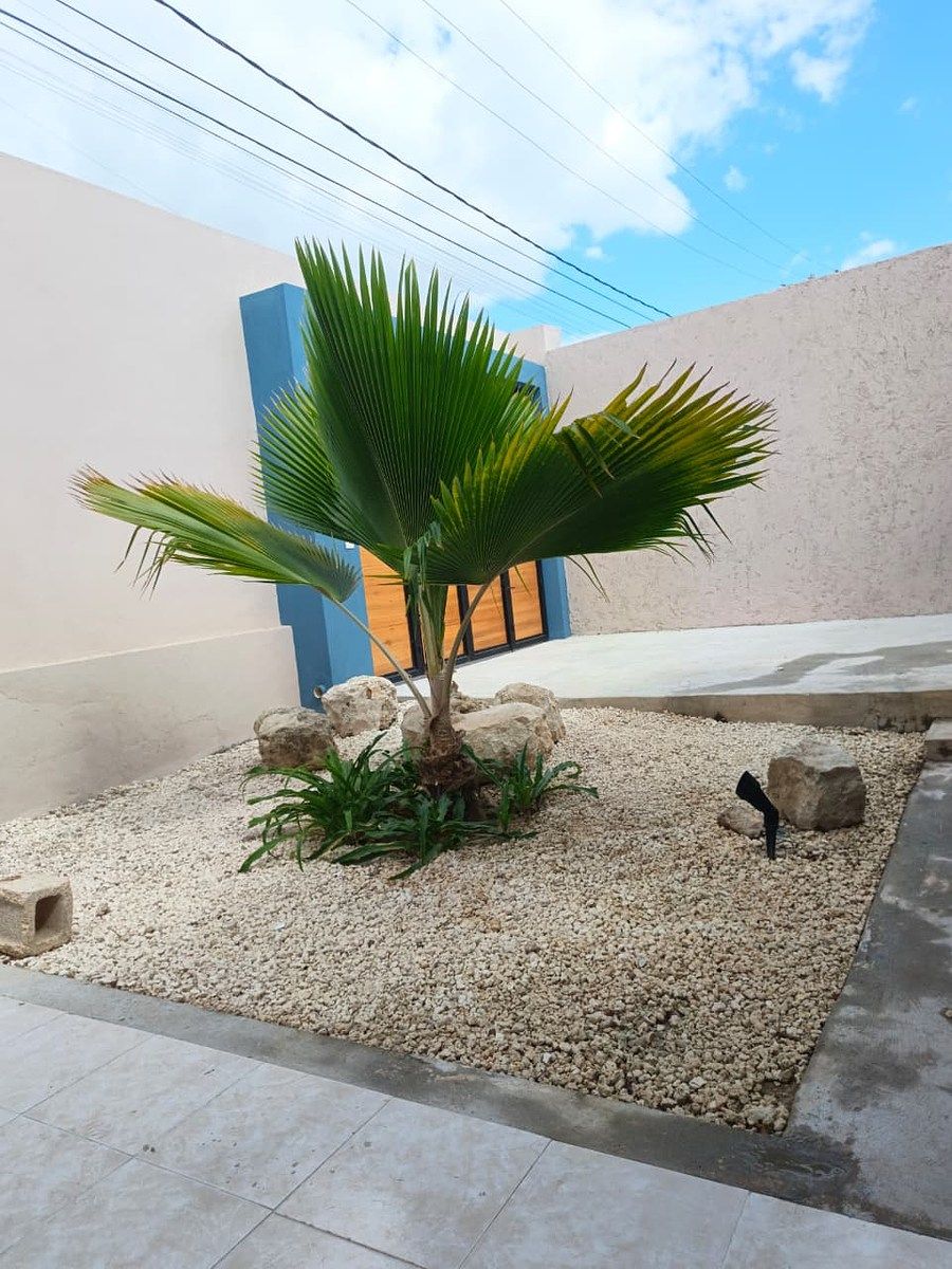 Casa em Mérida Centro, Mérida, foto 22 de 47