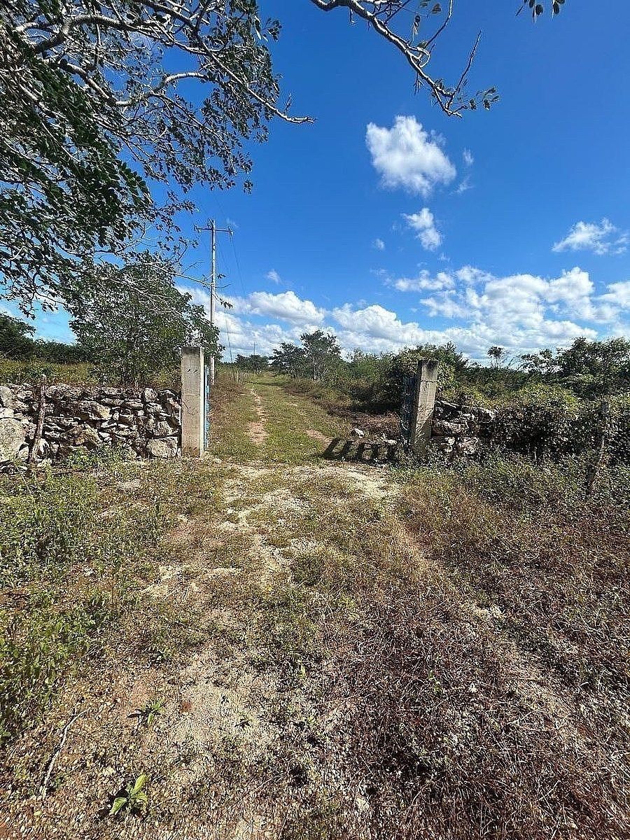Fazenda em Dzilam Gonzalez, Dzilam González, foto 3 de 12