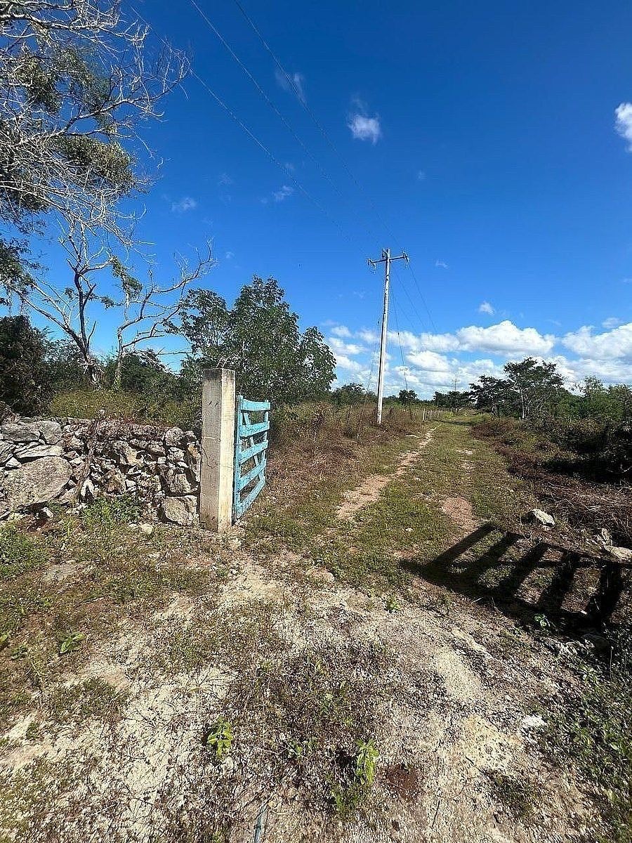 Fazenda em Dzilam Gonzalez, Dzilam González, foto 4 de 12