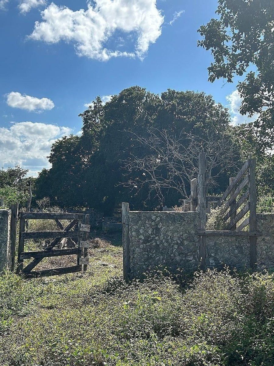 Fazenda em Dzilam Gonzalez, Dzilam González, foto 6 de 12