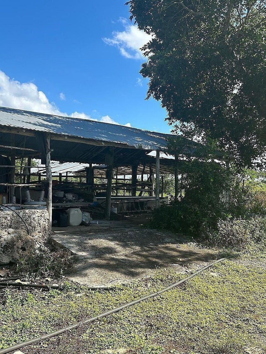 Fazenda em Dzilam Gonzalez, Dzilam González, foto 7 de 12