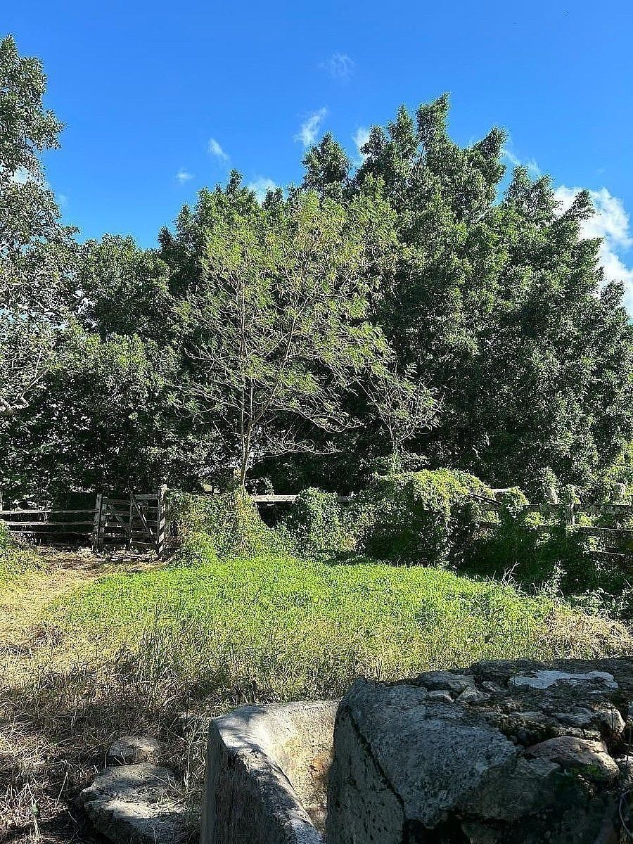 Fazenda em Dzilam Gonzalez, Dzilam González, foto 8 de 12