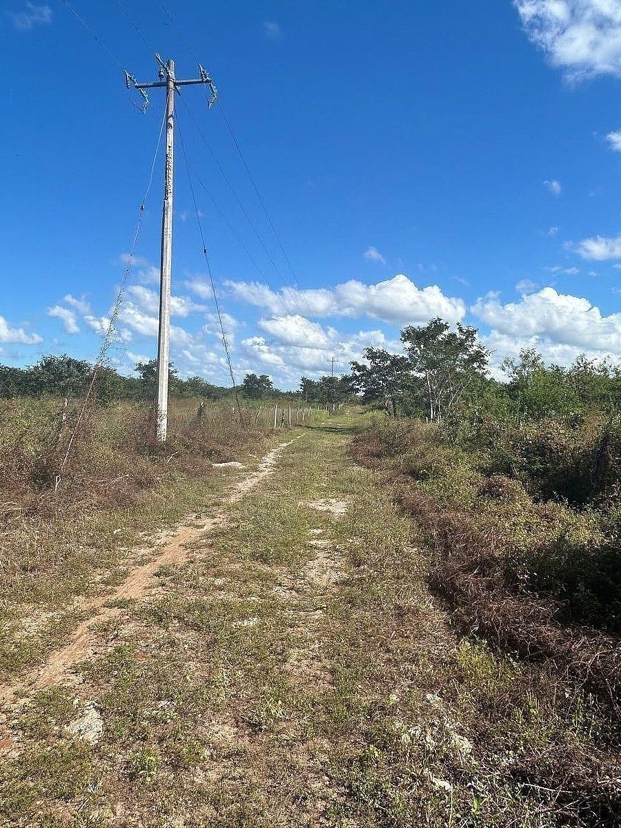 Fazenda em Dzilam Gonzalez, Dzilam González, foto 9 de 12