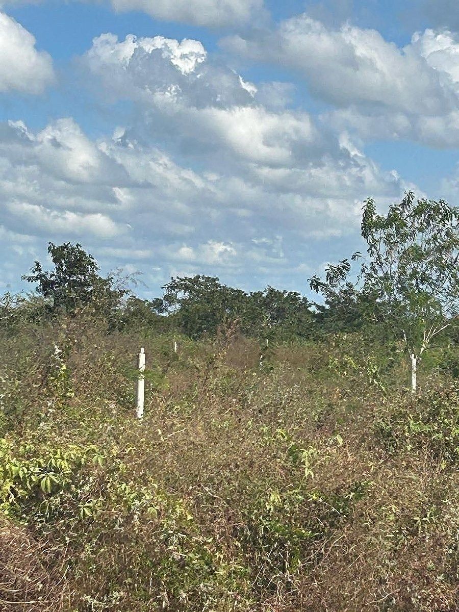 Fazenda em Dzilam Gonzalez, Dzilam González, foto 10 de 12