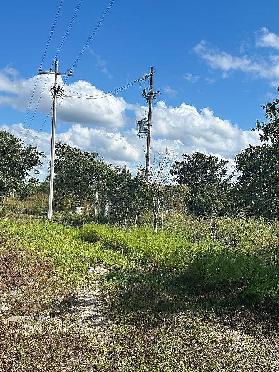 Fazenda em Dzilam Gonzalez, Dzilam González, foto 11 de 12