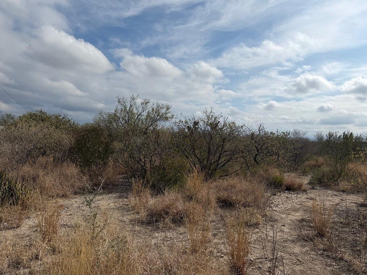 Lot in Salinas Victoria, Salinas Victoria, photo 4 of 16