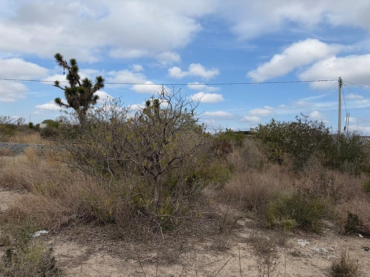 Lot in Salinas Victoria, Salinas Victoria, photo 11 of 16