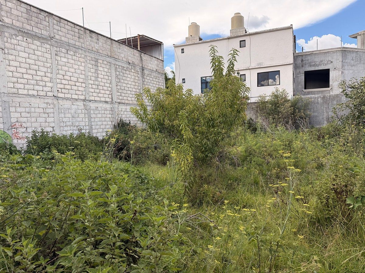 Terreno en Santa María, San Cristóbal de Las Casas, foto 9 de 12