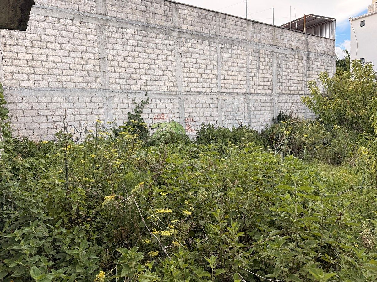 Terreno en Santa María, San Cristóbal de Las Casas, foto 10 de 12