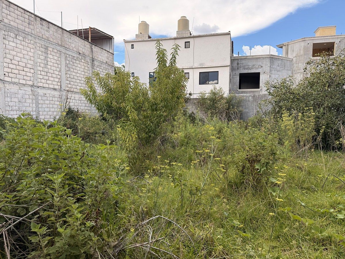 Terreno en Santa María, San Cristóbal de Las Casas, foto 11 de 12
