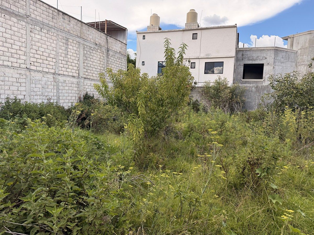 Terreno en Santa María, San Cristóbal de Las Casas, foto 12 de 12