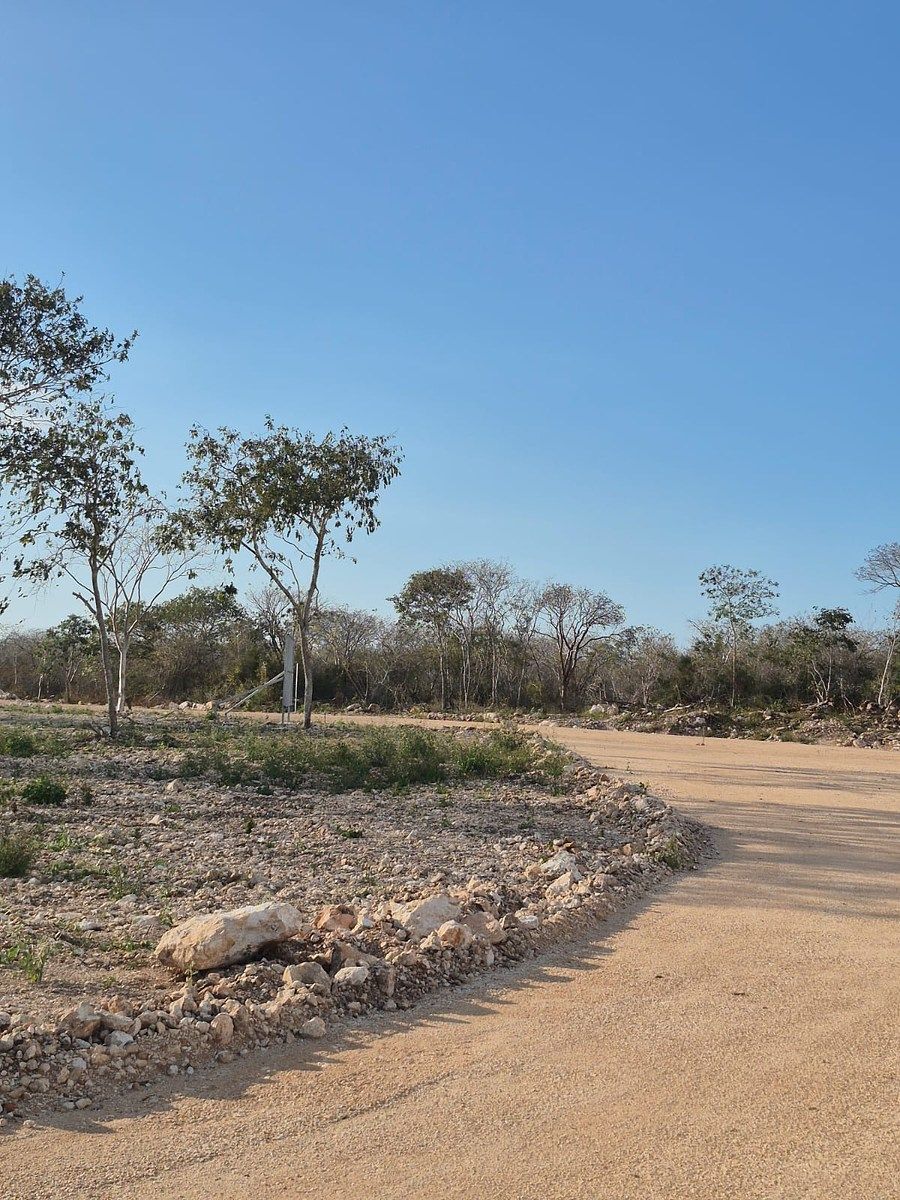 Terreno en Cholul, Mérida, foto 15 de 25