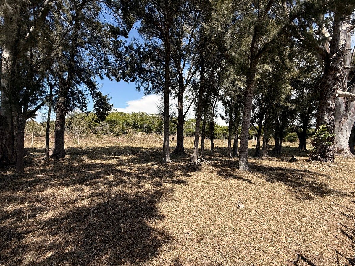 Terreno comercial en Chichima Acapetahua, Comitán de Domínguez, foto 12 de 22