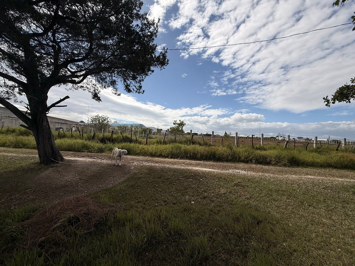 Terreno comercial en Chichima Acapetahua, Comitán de Domínguez, foto 22 de 22