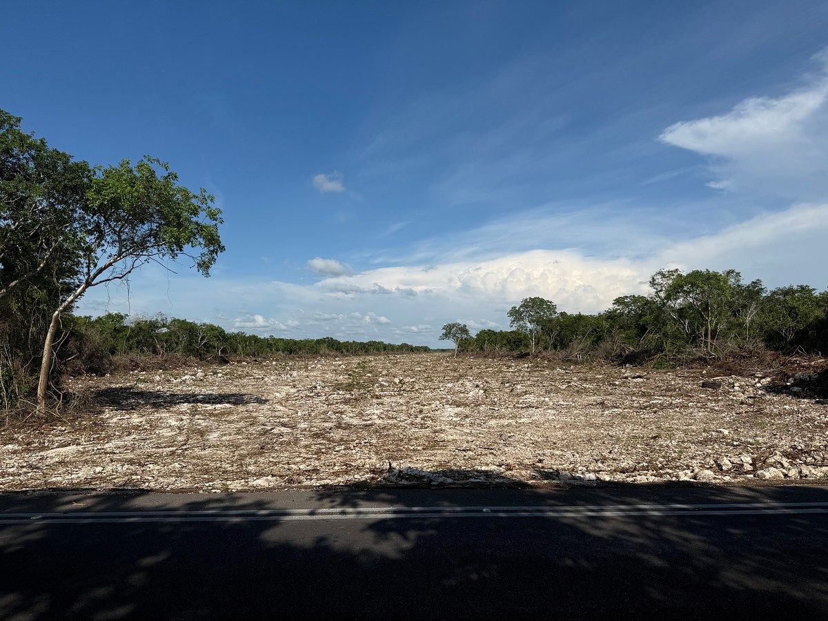 Terreno en Yaxche de Peón, Ucú, foto 5 de 11