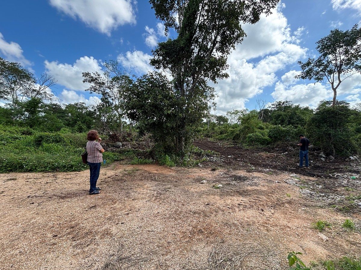 Terreno en Yaxche de Peón, Ucú, foto 11 de 11