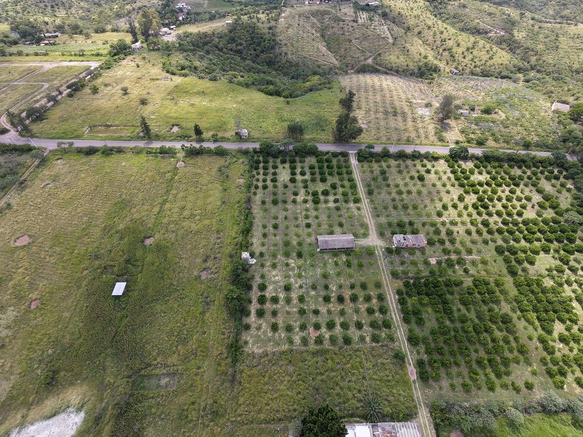 Terreno en Calvillo Centro, Calvillo, foto 5 de 9