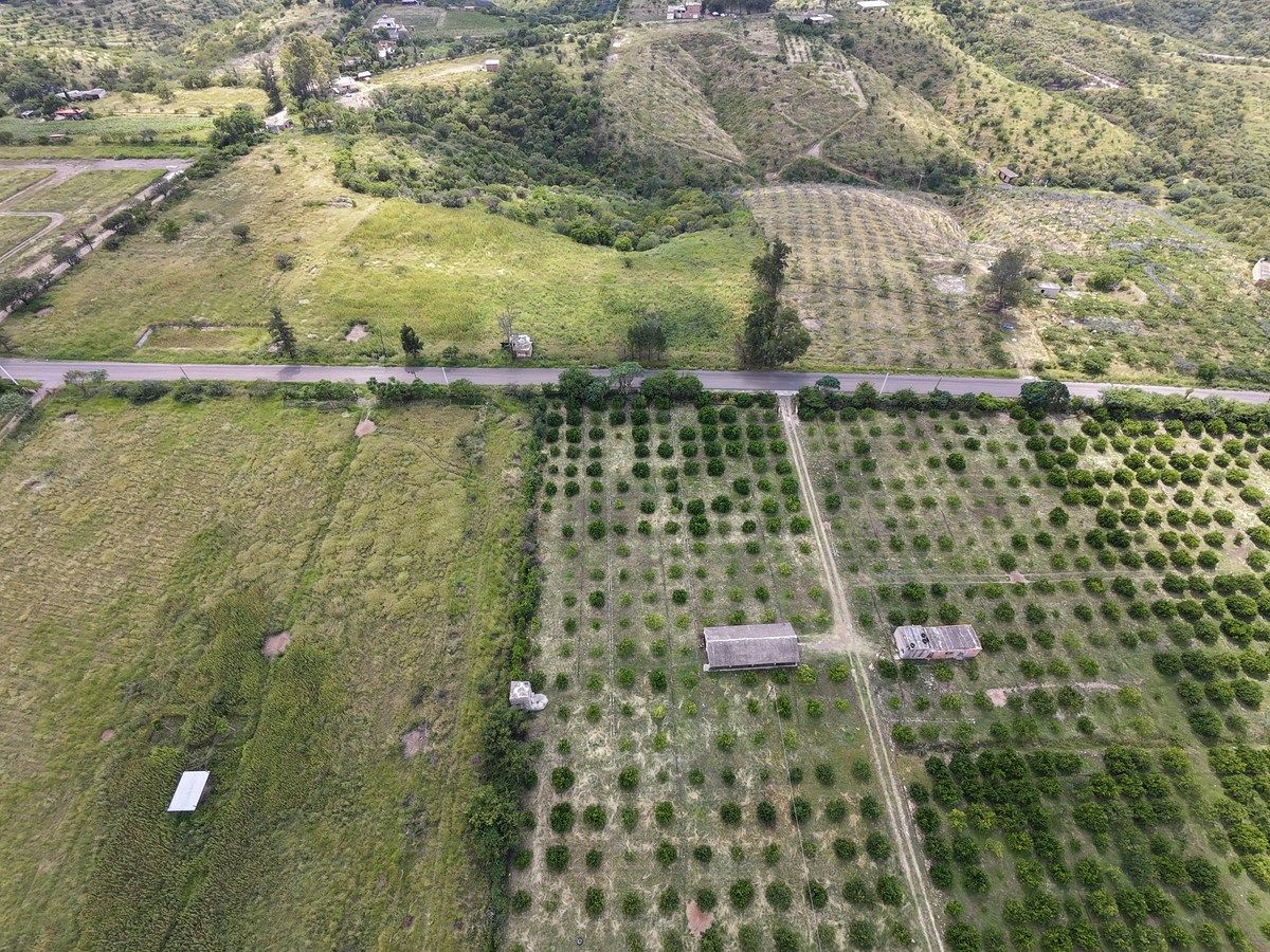 Terreno en Calvillo Centro, Calvillo, foto 6 de 9