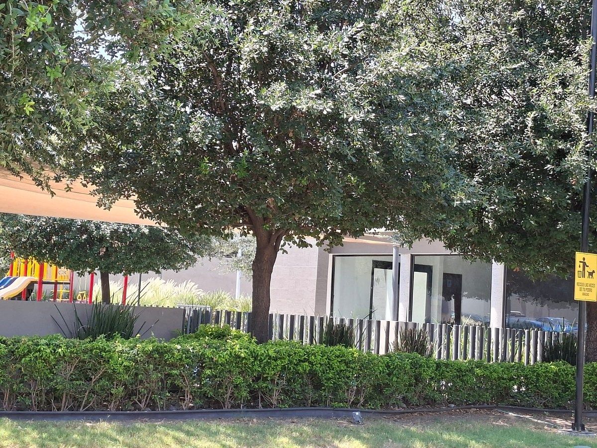 Casa en Privada Residencial Aviana, General Escobedo, foto 3 de 13