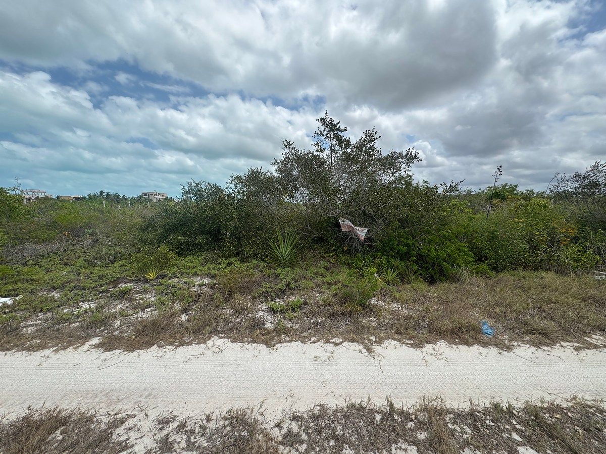 Lote em San Benito, Dzemul, foto 3 de 11