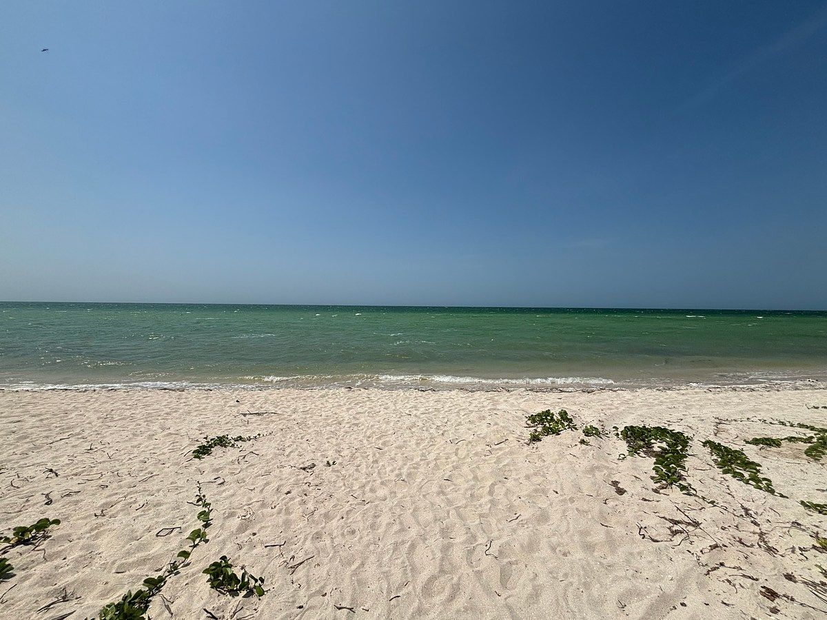 Lote em San Benito, Dzemul, foto 9 de 11