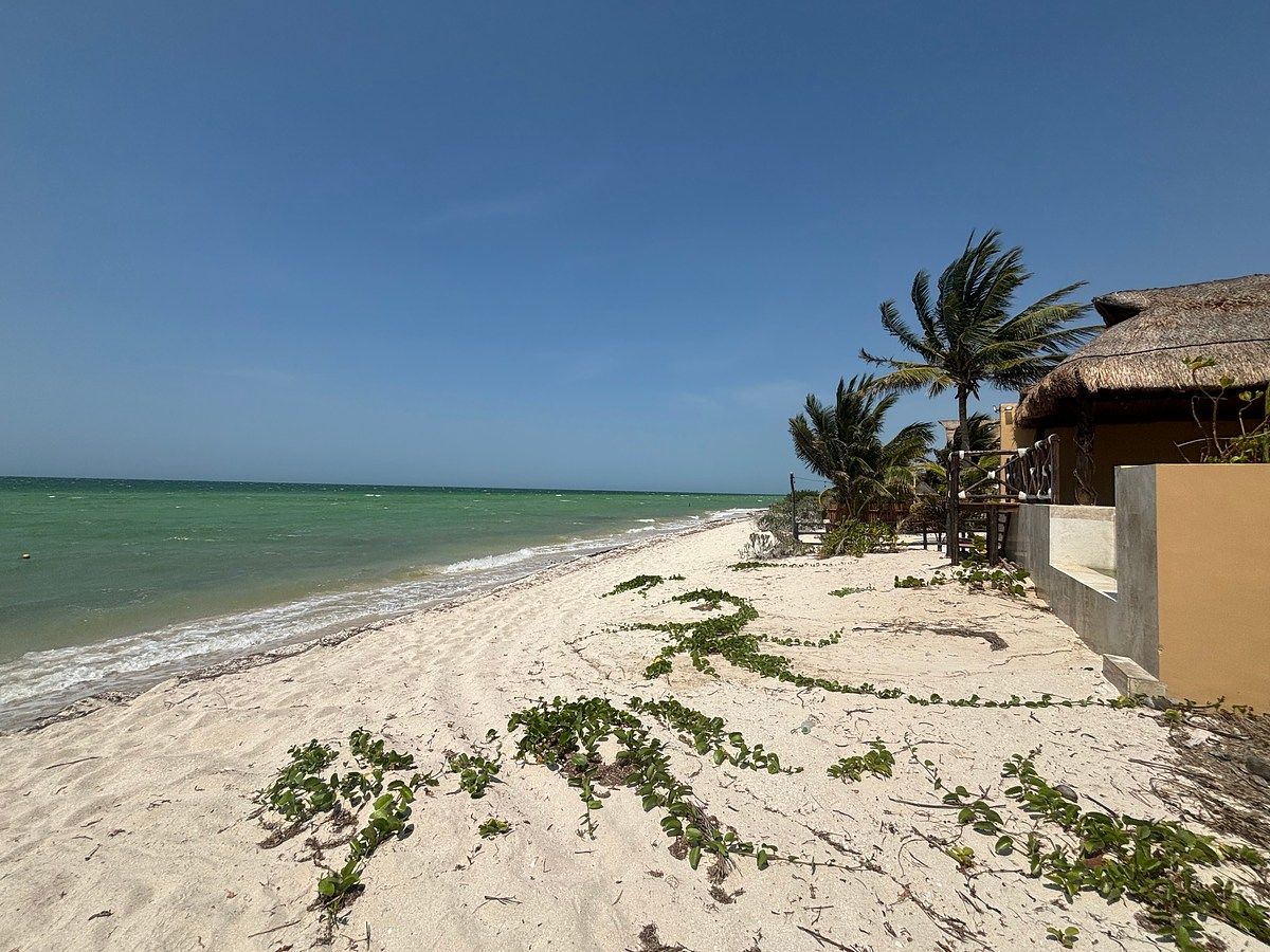 Lote em San Benito, Dzemul, foto 10 de 11