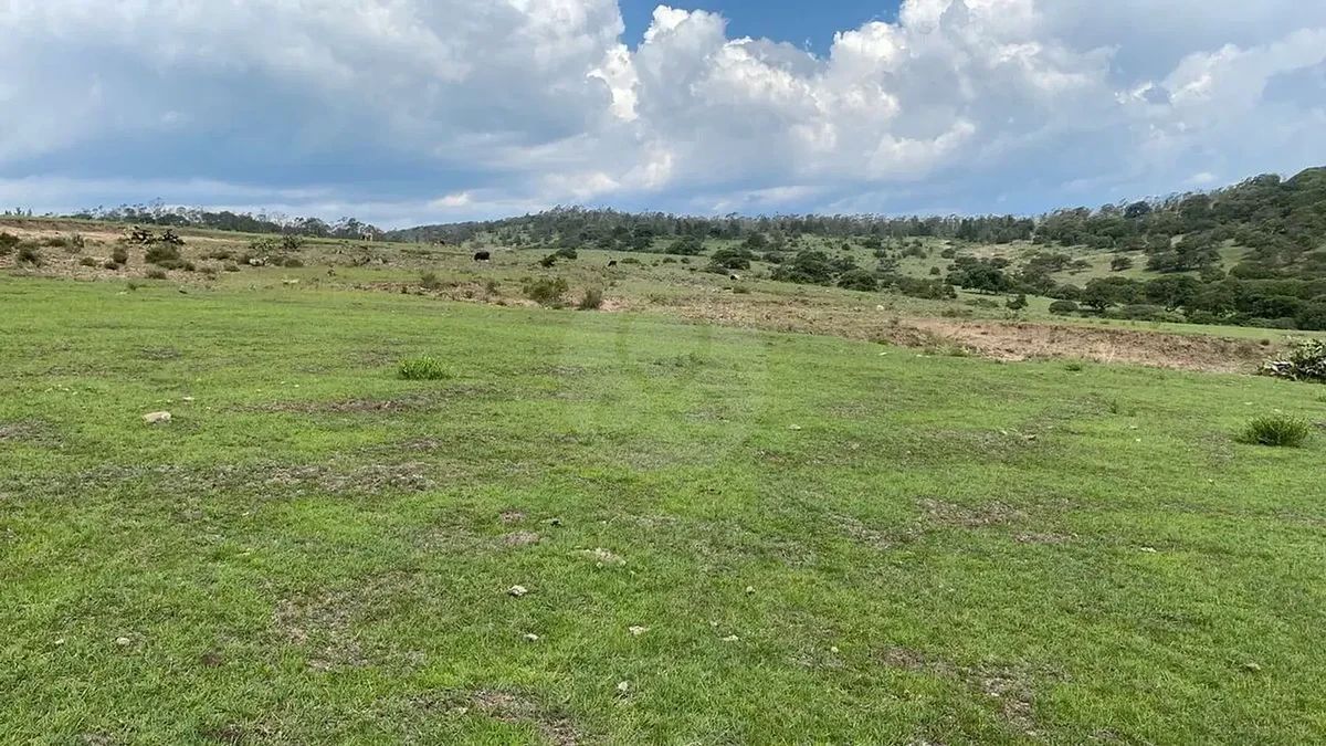 Terreno en San Pedro Tenango, Amealco de Bonfil, foto 5 de 5
