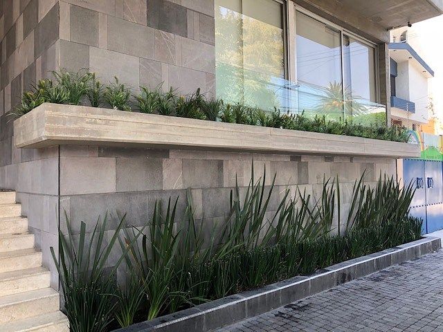 Apartment in Del Valle Norte, Benito Juárez, photo 13 of 14