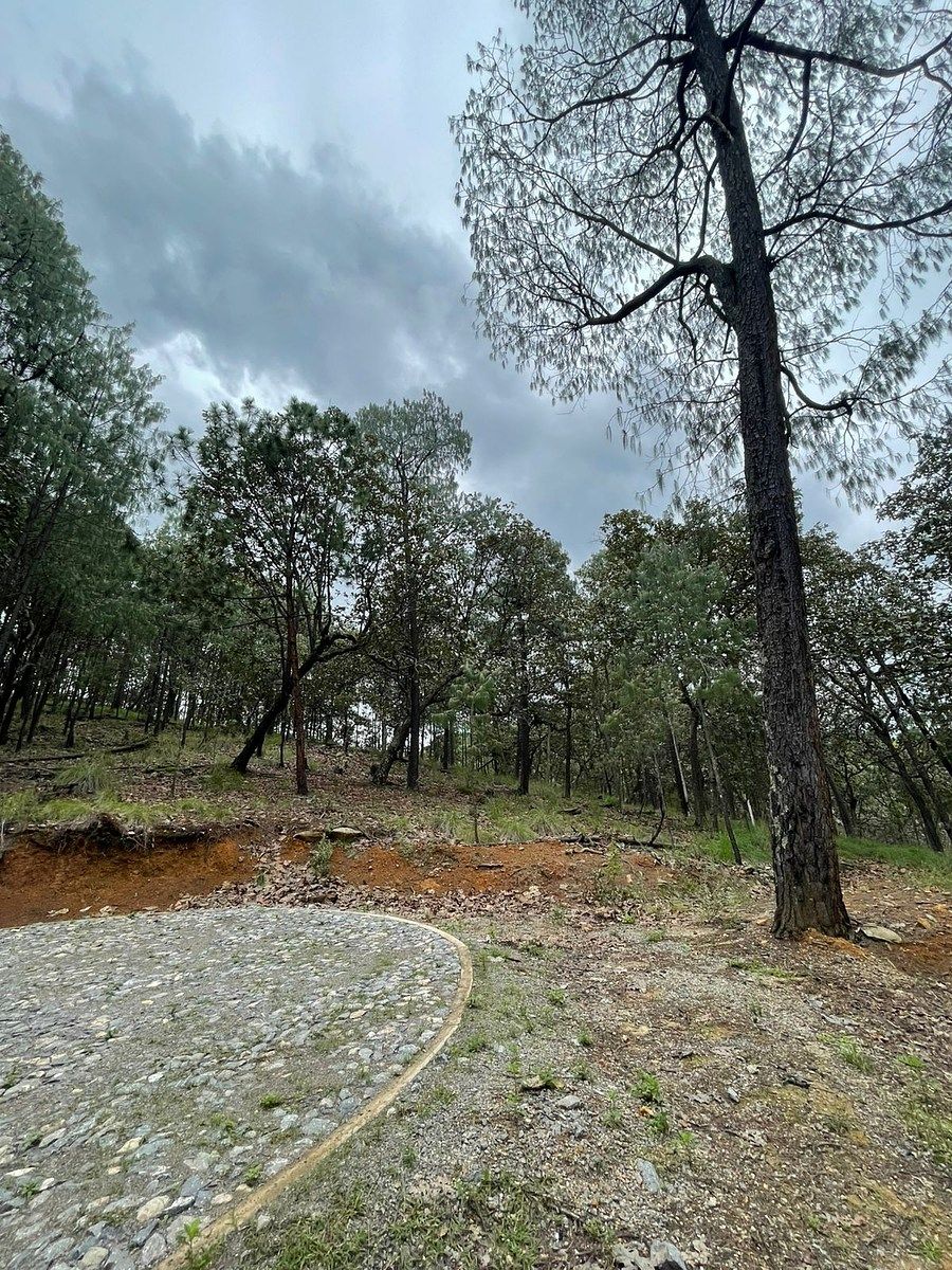 Lote em Chiquilistlan, Chiquilistlán, foto 15 de 26
