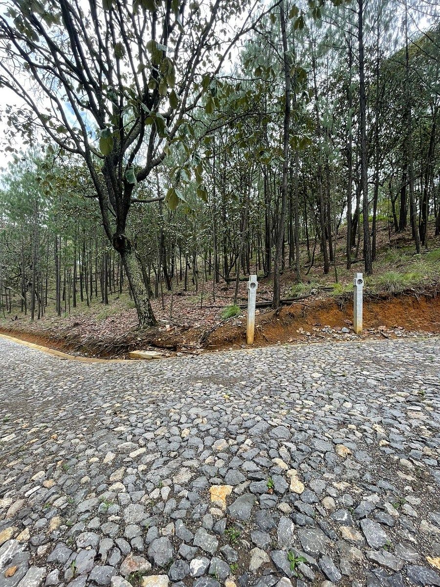 Lote em Chiquilistlan, Chiquilistlán, foto 16 de 26