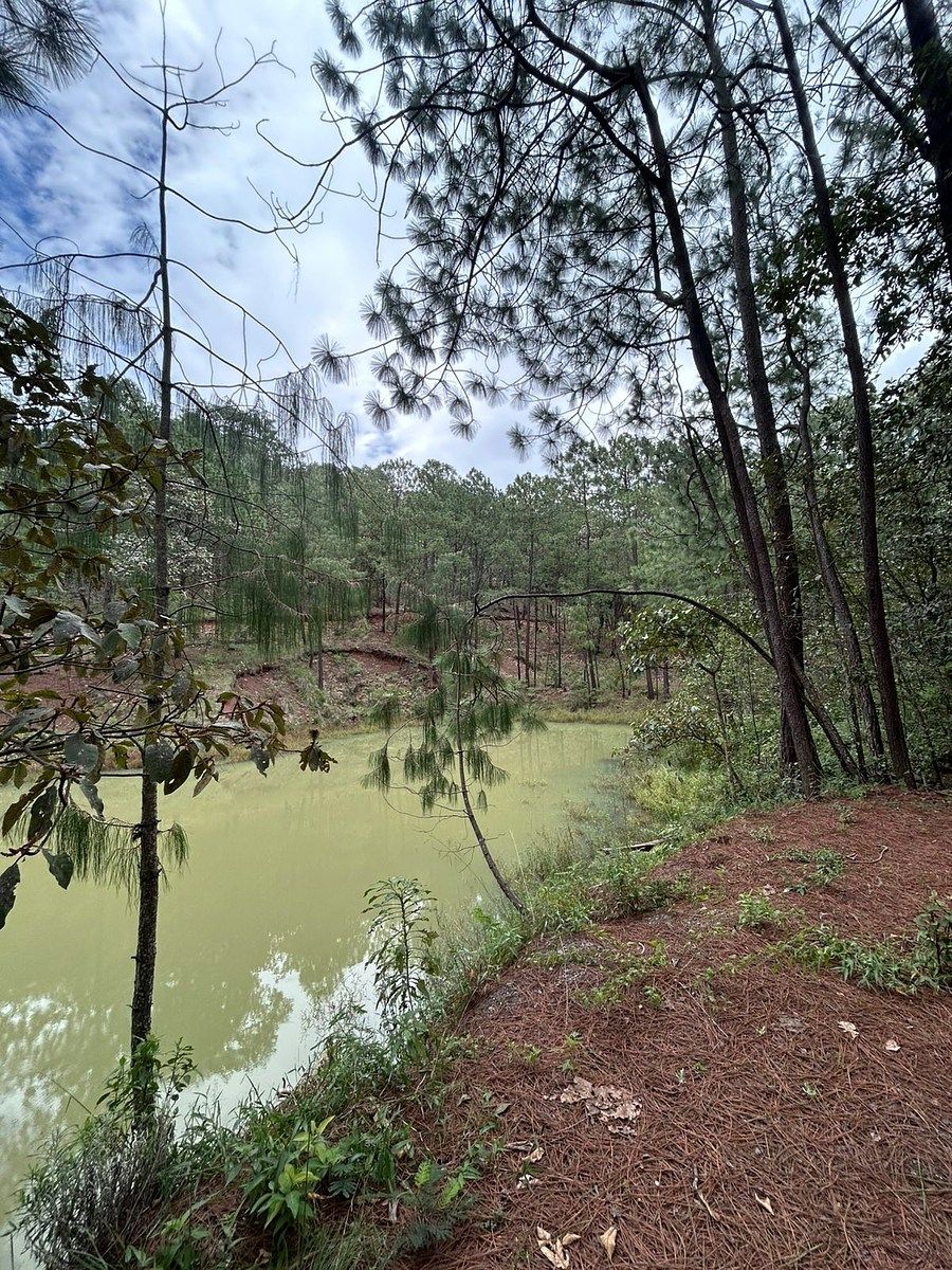 Lote em Chiquilistlan, Chiquilistlán, foto 17 de 26