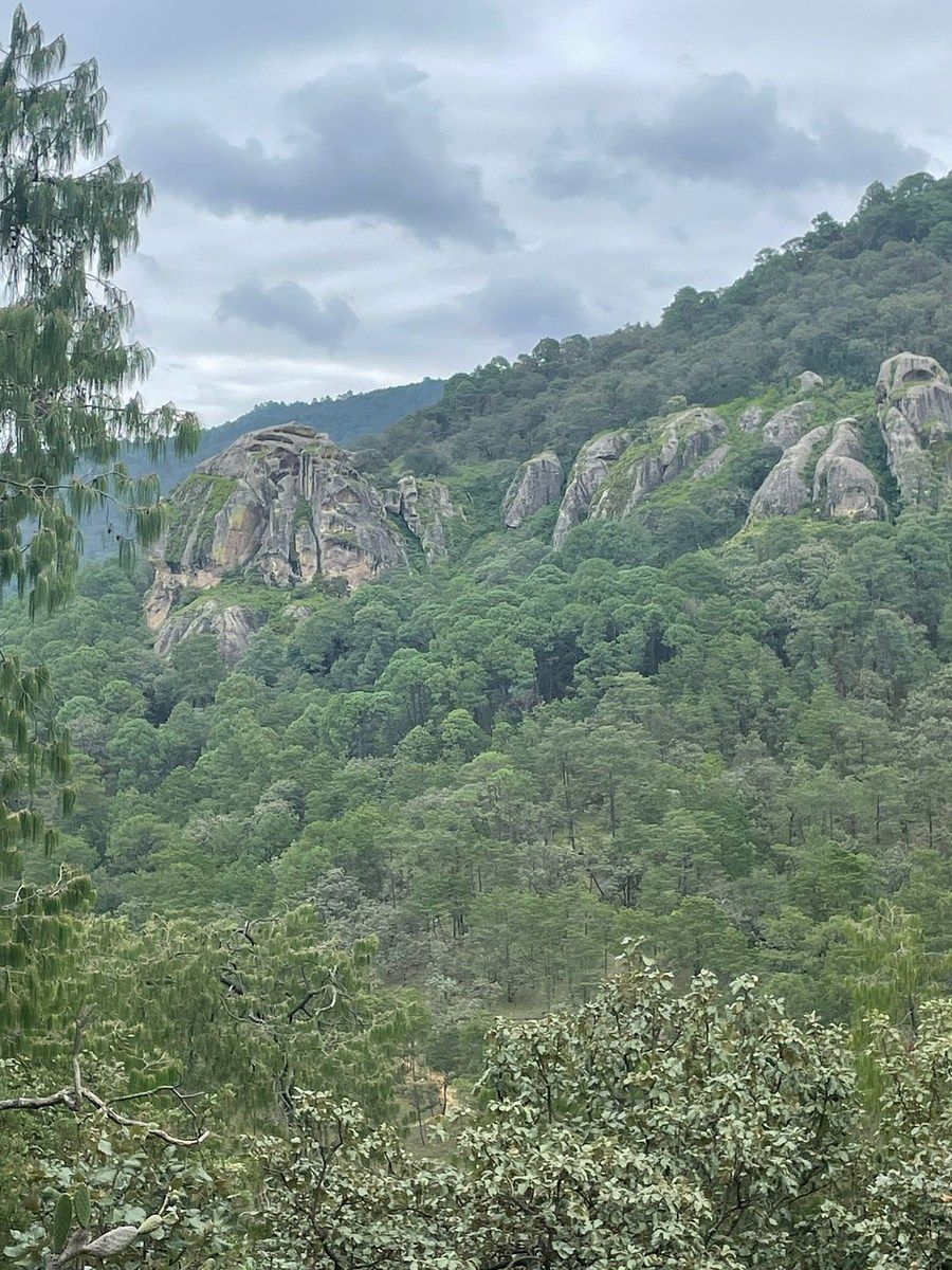 Lote em Chiquilistlan, Chiquilistlán, foto 21 de 26
