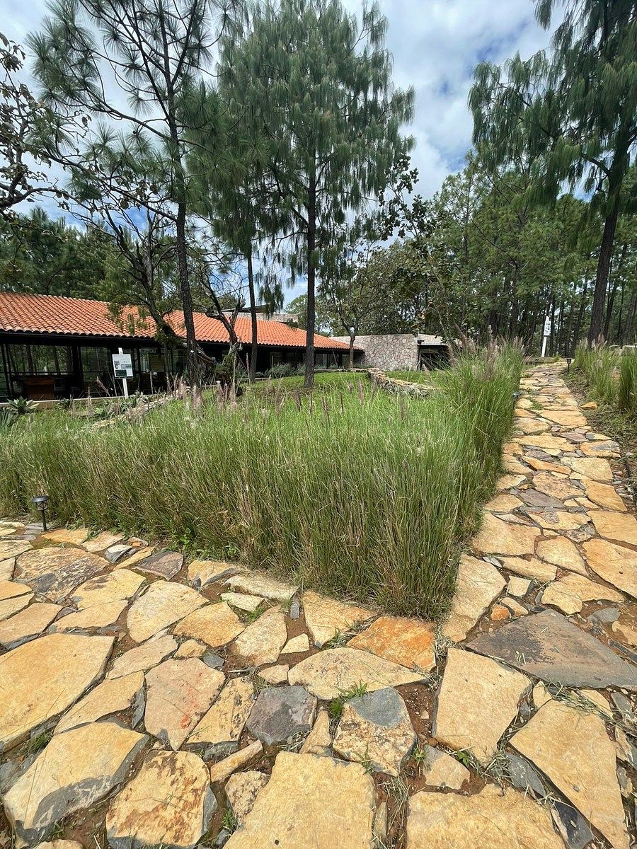 Lote em Chiquilistlan, Chiquilistlán, foto 24 de 26
