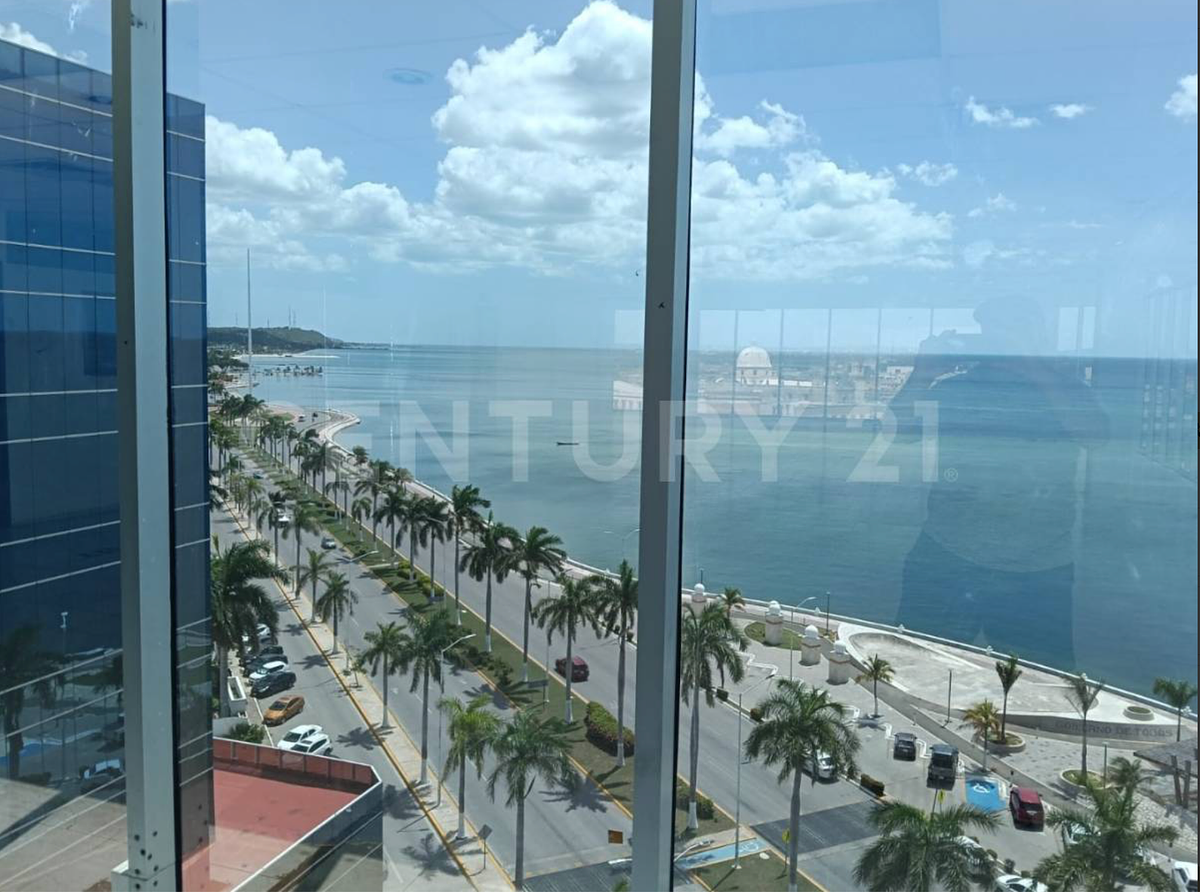 Office in San Román, Campeche, photo 9 of 14