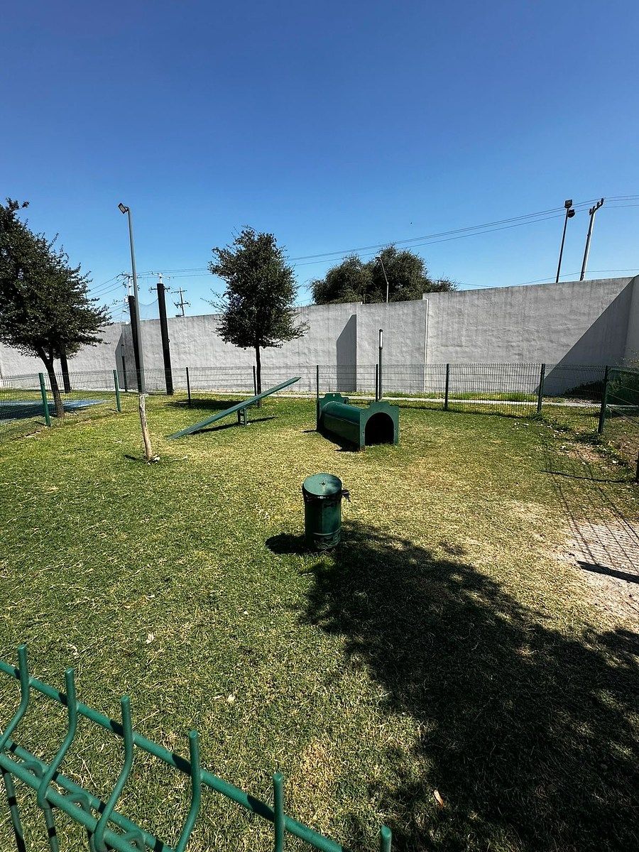 Departamento en Living San Nicolás, San Nicolás de los Garza, foto 9 de 15