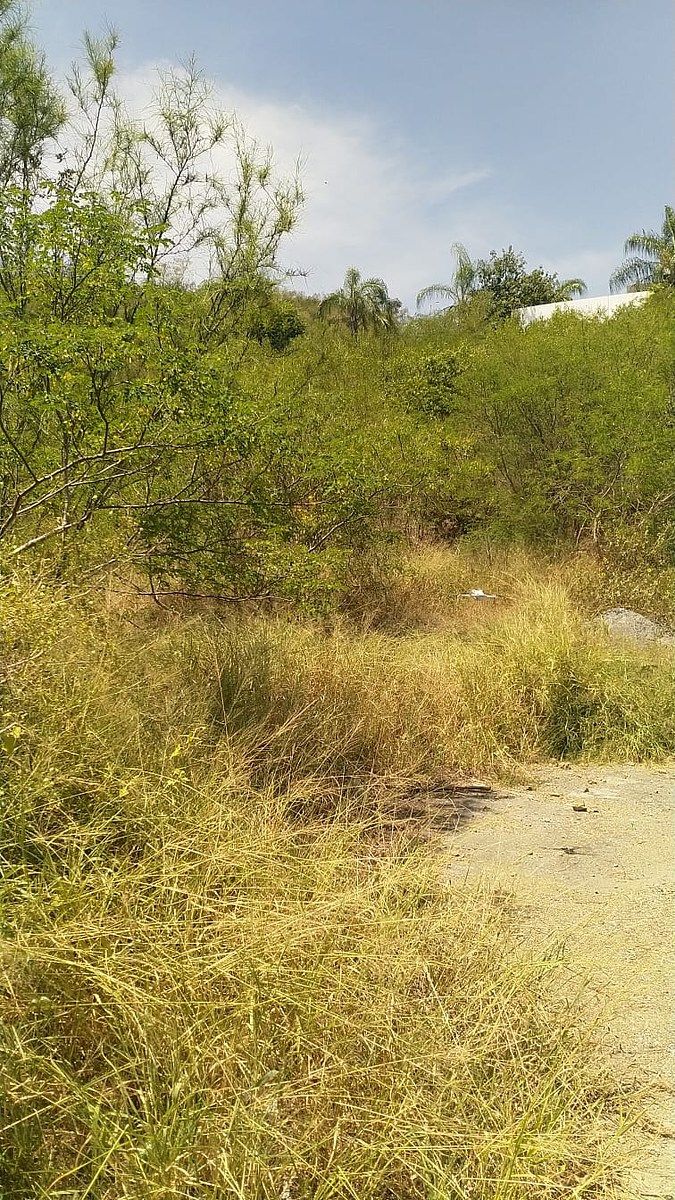 Lot in El Barrial, Santiago, photo 5 of 6