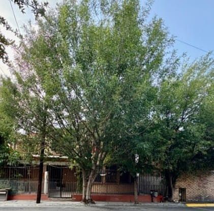 Apartamento em La Florida, Monterrey, foto 6 de 6