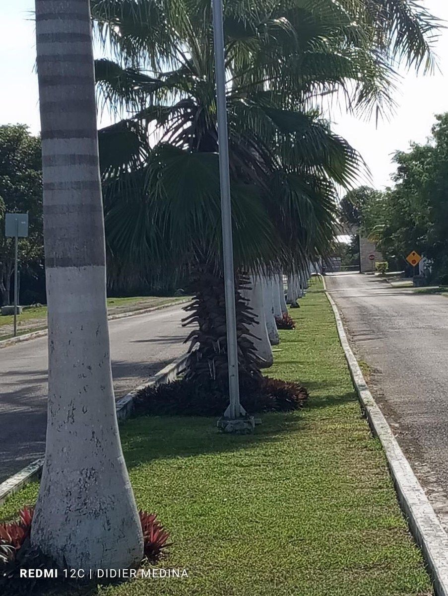 Lote em Chicxulub Puerto, Progreso, foto 2 de 13