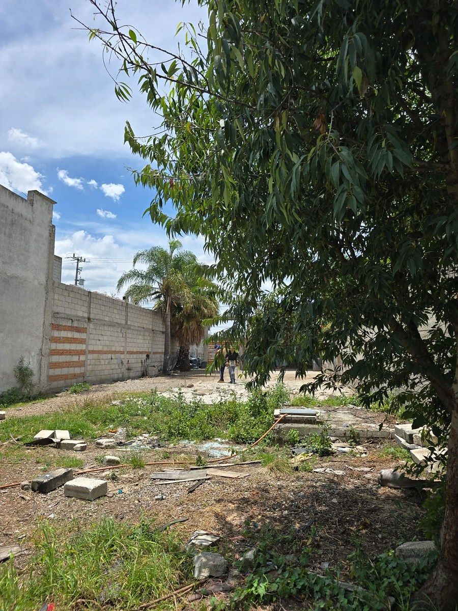Terreno en Tlaltepango, San Pablo del Monte, foto 8 de 10