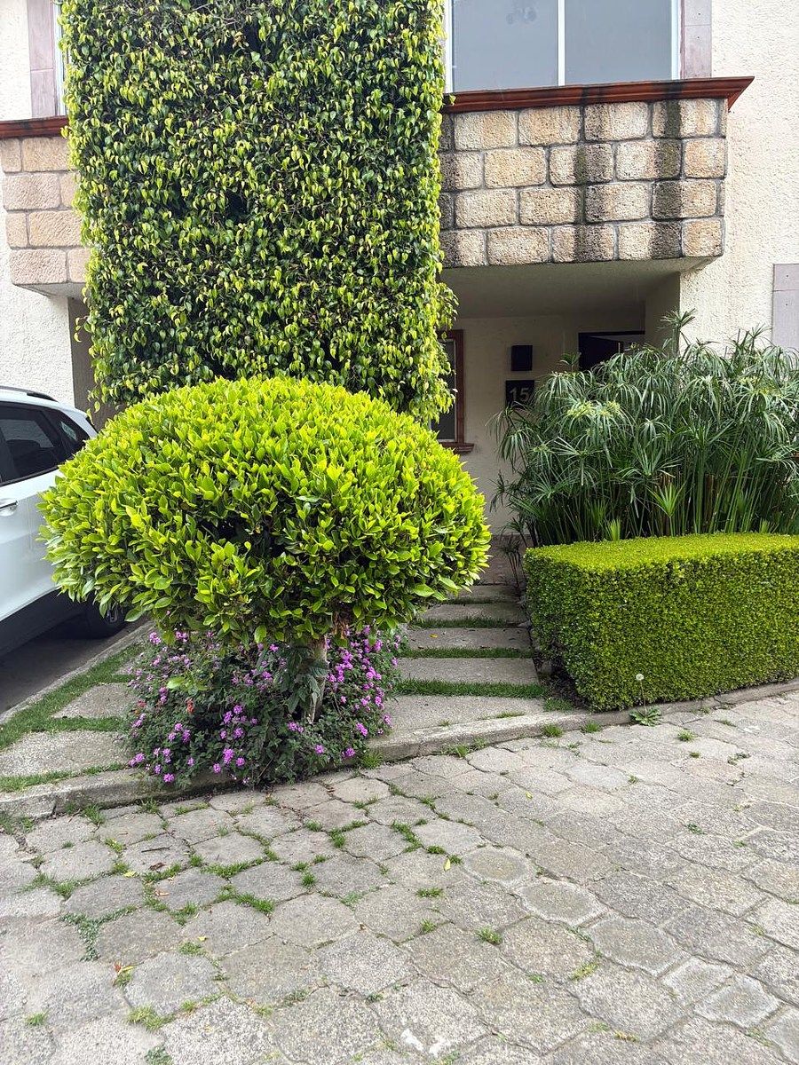 House in Gated Community in Cuajimalpa, Cuajimalpa de Morelos, photo 9 of 9