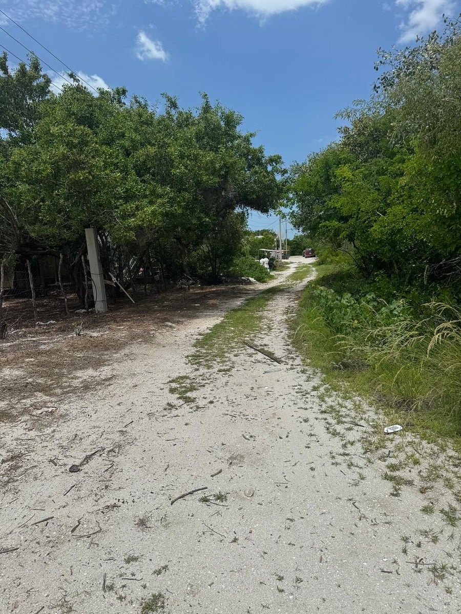 Lot in Celestun, Celestún, photo 4 of 15