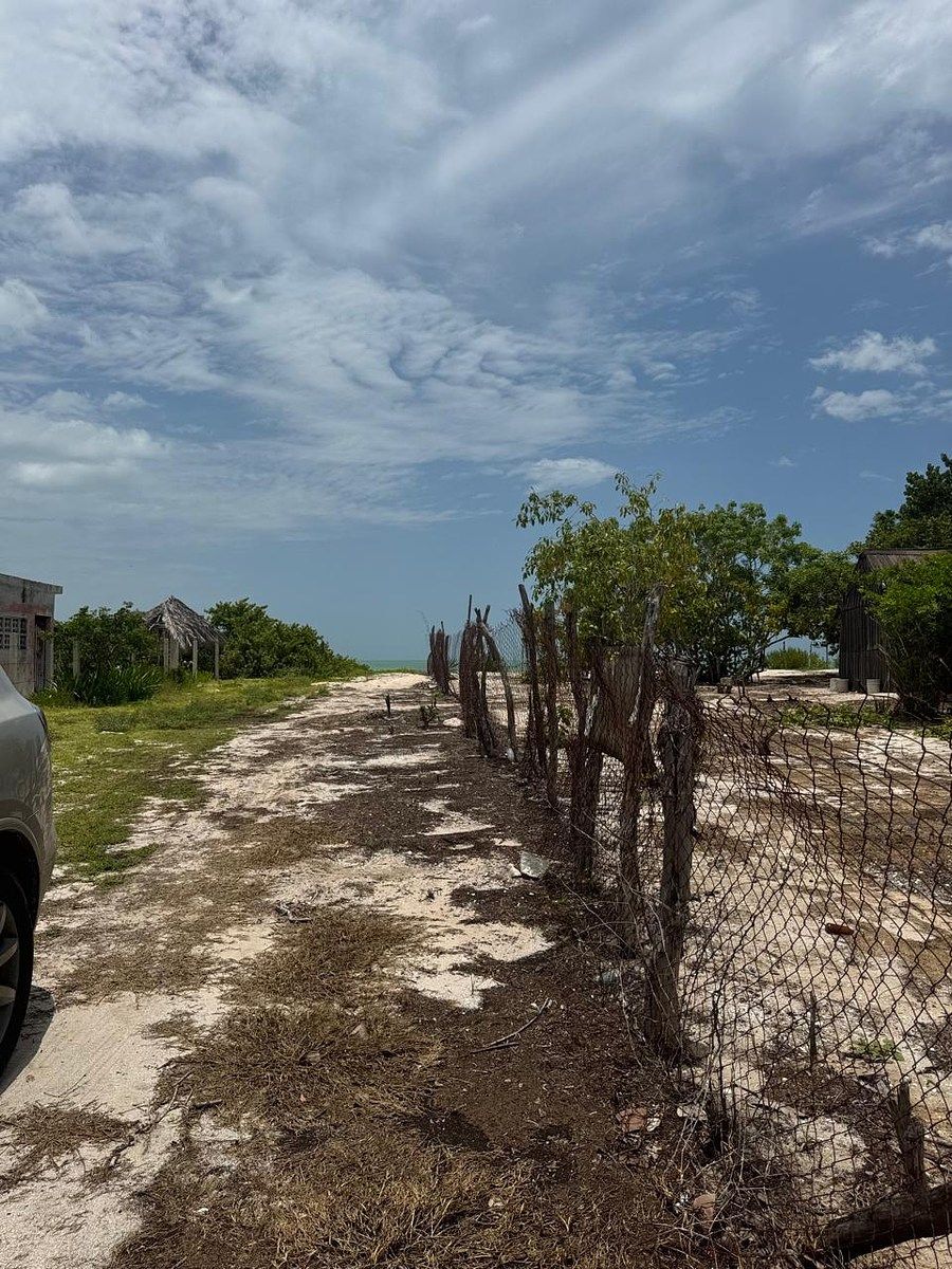 Lot in Celestun, Celestún, photo 6 of 15