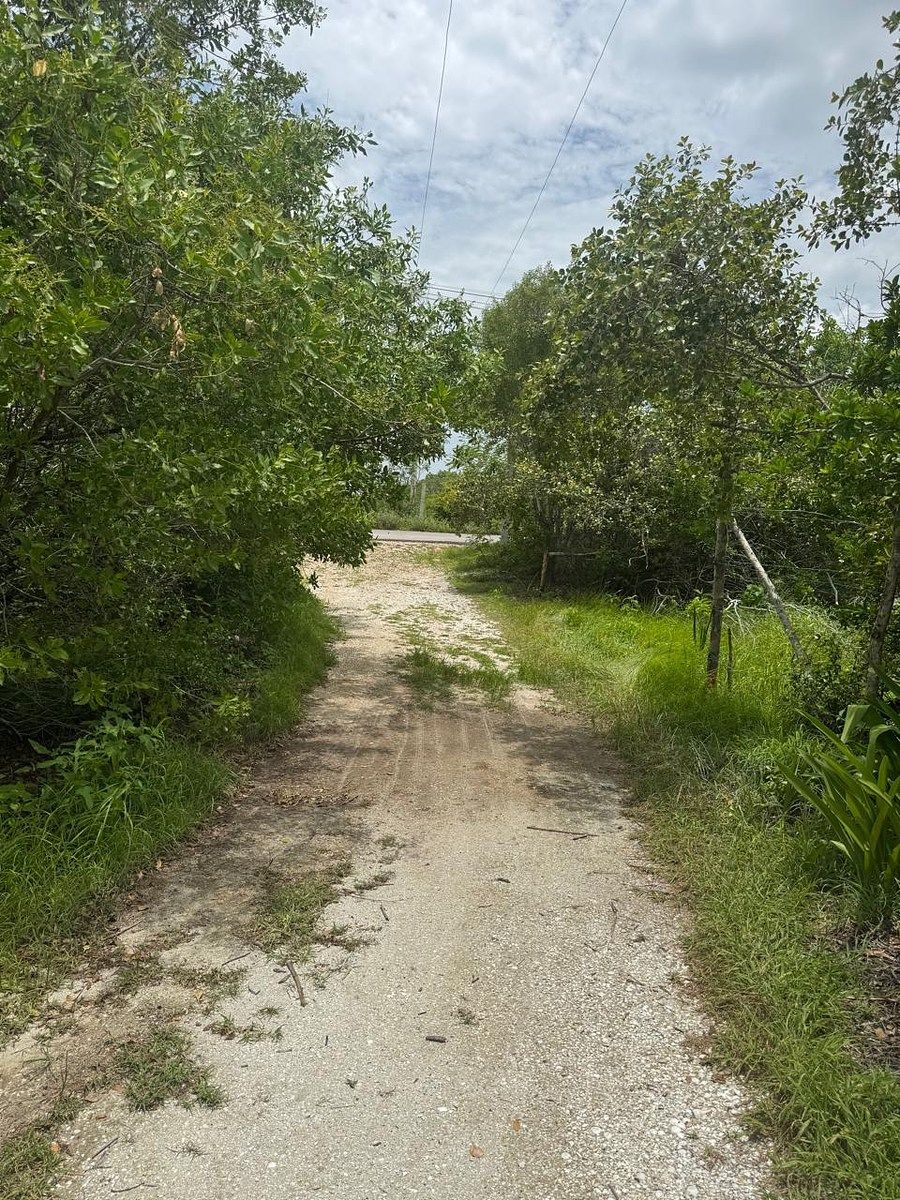 Lot in Celestun, Celestún, photo 5 of 15