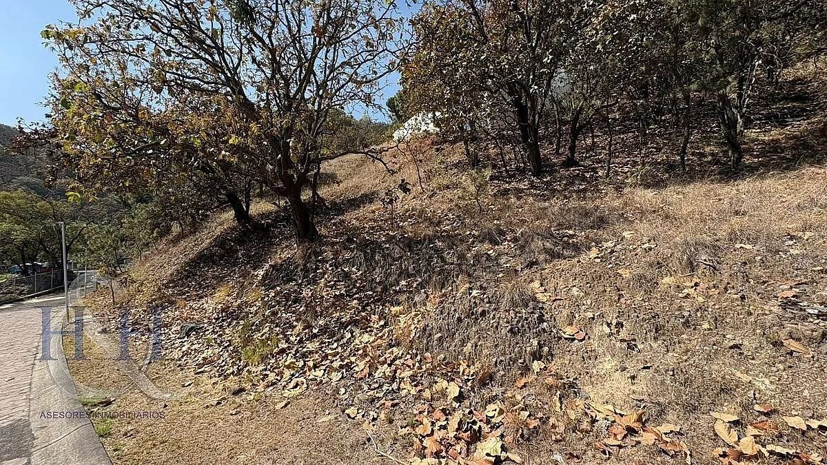 Terreno en Diana Nature Residencial, Zapopan, foto 4 de 14