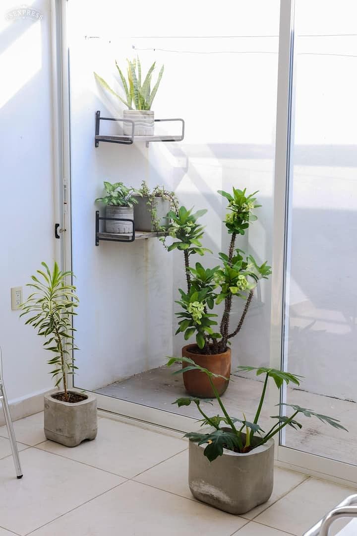 Casa en Colesquizan, Tuxtla Gutiérrez, foto 29 de 33