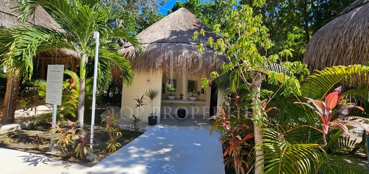 Terreno en Puerto Morelos, Puerto Morelos, foto 4 de 34
