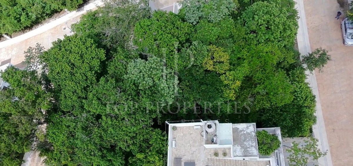 Terreno en Puerto Morelos, Puerto Morelos, foto 28 de 34