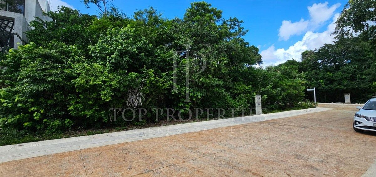 Terreno en Puerto Morelos, Puerto Morelos, foto 32 de 34