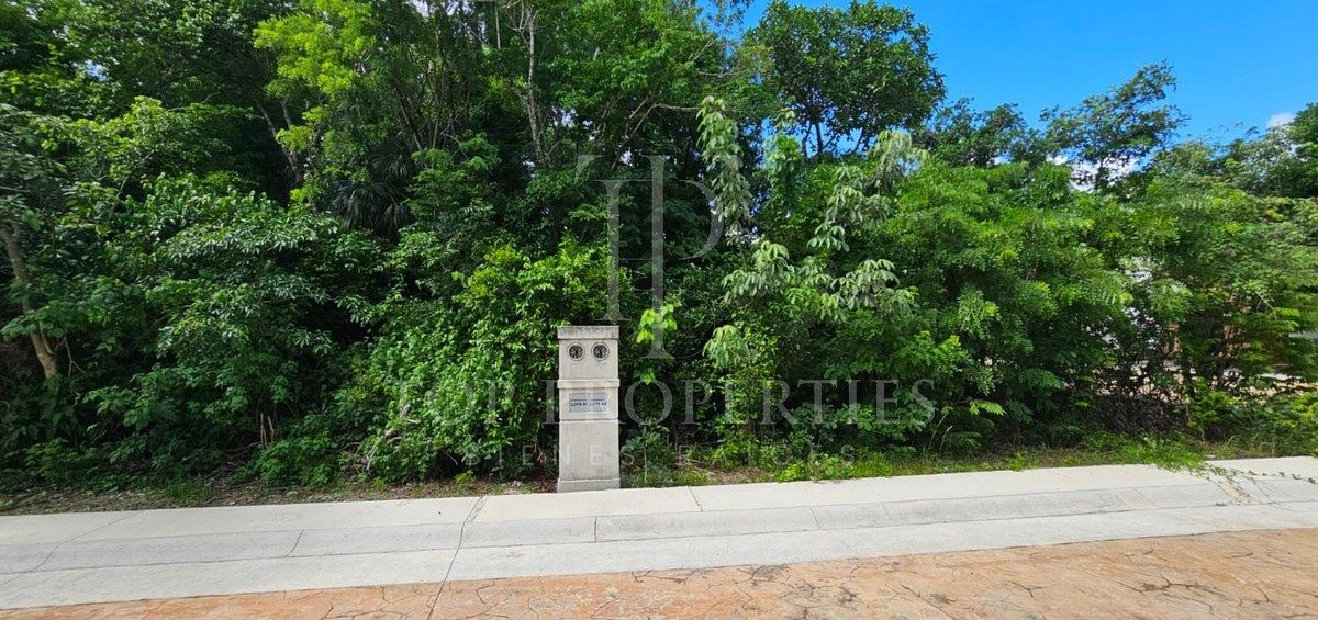 Terreno en Puerto Morelos, Puerto Morelos, foto 33 de 34